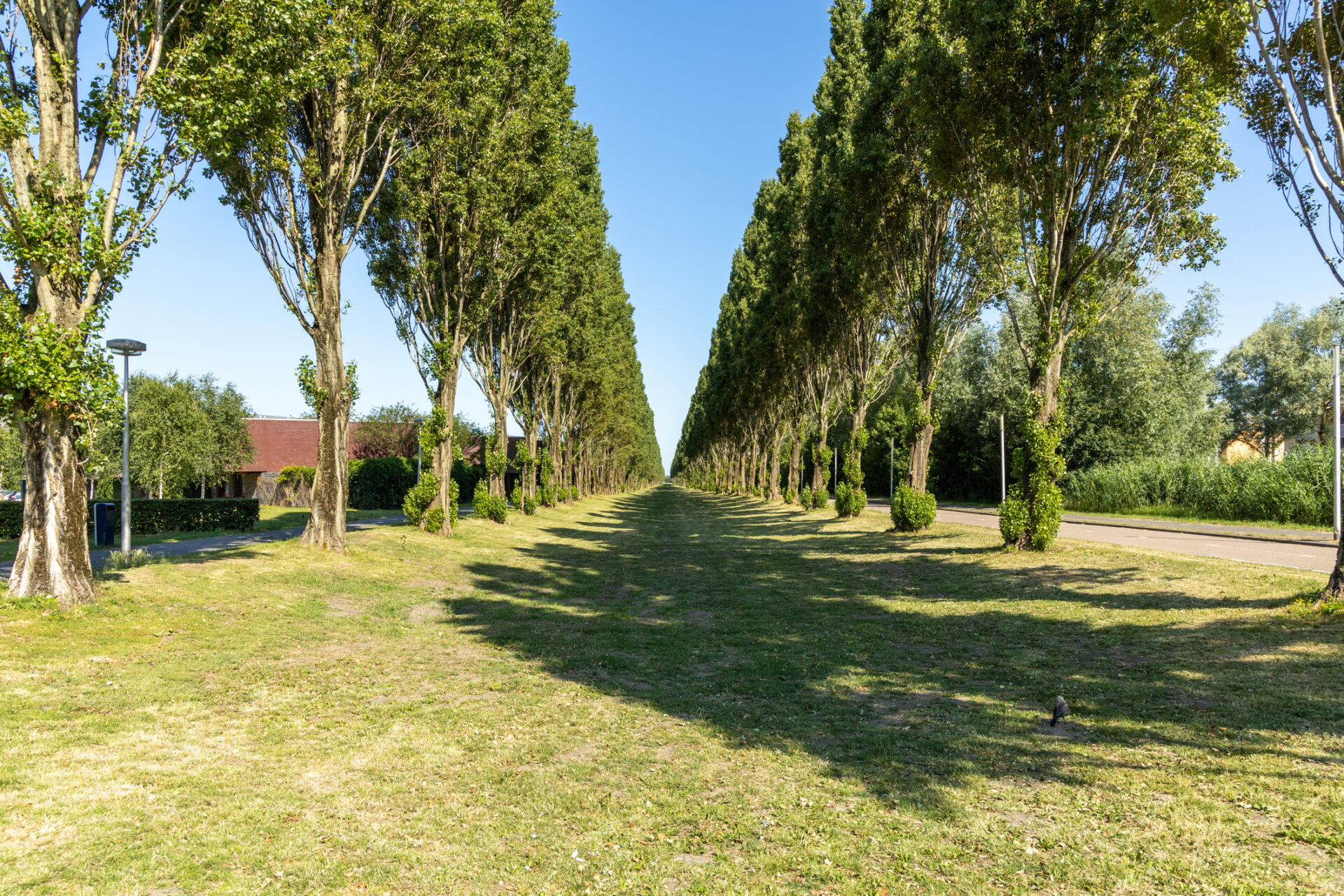 Leidsche rijn wijk